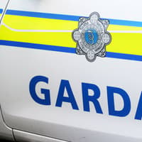 Lorgaítear finnéithe i ndiaidh ionsaithe coirloscadh in Uíbh Fhailí