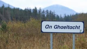 An Plean Fáis: Plean Infheistíochta don Ghaeilge agus don Ghaeltacht 2024-2029 