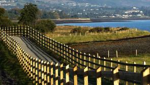 Carthanacht meabhairshláinte ag moladh do dhaoine a bheith ag spaisteoireacht