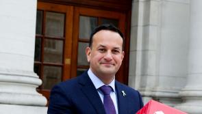 Cé hiad na 18 Teachtaí Dála de chuid Fhine Gael nach bhfuil ag seasamh le haghaidh atoghadh