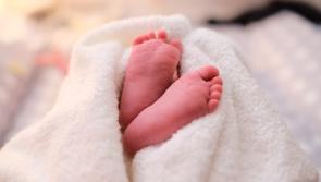 Tuismitheoirí Éireannacha atá i dteideal borradh airgid de €420 ach tá gabháil ann