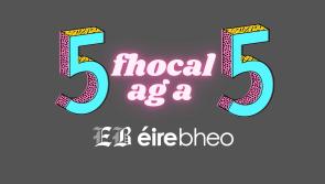 5 ag a 5: Seo chugaibh cúig fhocal nua Gaeilge le foghlaim