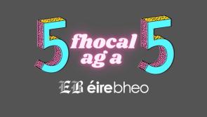 5 ag a 5: Seo chugaibh cúig fhocal nua Gaeilge le foghlaim