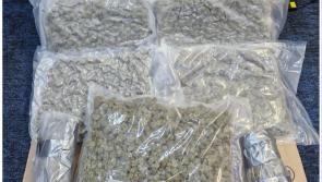 Gabhadh fear tar éis do ghardaí urghabháil cannabais ar luach €120k a dhéanamh
