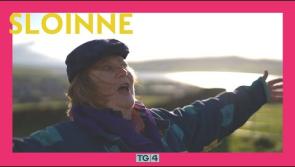 Sloinne, sraith nua seacht gclár a bheidh le craoladh ar TG4