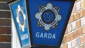 Gabhadh beirt fhear ar amhras faoi chalaois in aghaidh an FSS