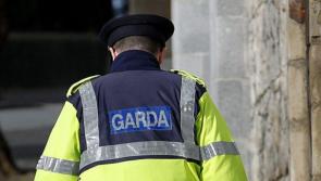 Cuirfear tús le cuardach i mBaile Átha Cliath ag na Gardaí ar bhuachaill atá ar iarraidh agus a bhfuiltear ag súil leis go bhfuil sé marbh