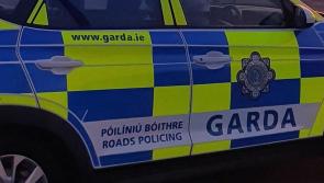 ‘Ná téigh i dtreo’ – Tugann Gardaí rabhadh don phobal faoi veain Renault