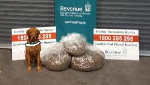 Pacáistí cannabais aimsithe ag madra cuardaigh, James
