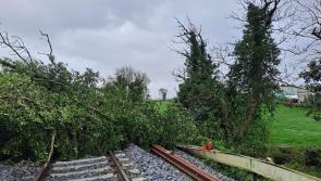 Seirbhísí traenach ar fionraí mar gheall ar chrainn a bheith ag titim le linn Stoirm Chaitlín