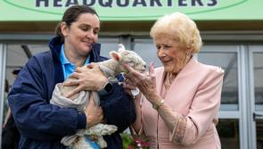 ‘I’d wear high heels if I still could’ – a deir Anna May McHugh fág wellies sa bhaile