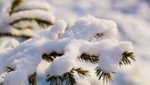 FÓGRA: Tugann Met Éireann rabhadh faoi ‘chnuasuithe suntasacha sneachta’ i gCÚIG chontae