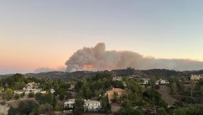 Insíonn fear Éireannach atá ina chónaí i Los Angeles an scrios 'horrónach' a rinneadh ar thinte fiáine Palisades