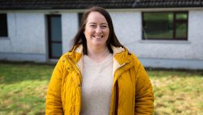 Tá iarratais oscailte do shealgairí tí le feiceáil ar an tsraith teilifíse Cheap Irish Homes de chuid RTÉ