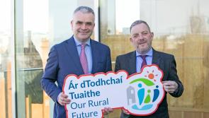 Fógraíodh beagnach €390,000 de mhaoiniú do 10 dtionscadal ar oileáin amach ón gcósta