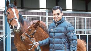 PICTIÚIRÍ: Chuir Qatar Racing feirm graí ilmhilliún euro in Éirinn ar ceant