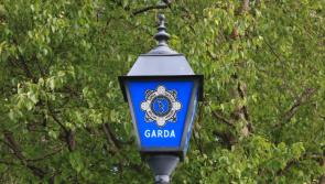 Cúigear Gardaí faoi oiliúint ar fionraí as 'cleas a chuaigh thar fóir' a raibh lámhcheangail i gceist leis, de réir dealraimh