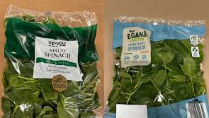 'Ná hith' - Eagla nua ar listeria agus sailéad tarraingthe de na seilfeanna in ollmhargaí na hÉireann