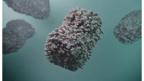 Cad &eacute; an v&iacute;reas Mpox agus deimhn&iacute;onn an HSE go bhfuil braisle de shraith n&iacute;os tromch&uacute;is&iacute; braite in &Eacute;irinn?