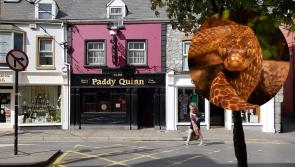 'Ghreim sé mo dheartháir' - cloistear scéal fiáin faoi nathair ag sleamhnú suas leithreas i dteach tábhairne ag RTÉ Liveline