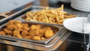 B&eacute;il&iacute; scoile in &Eacute;irinn 'cos&uacute;il le bia aerl&iacute;ne' a deir an c&oacute;caire c&aacute;ili&uacute;il Darina Allen