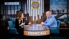 FOL&Aacute;IREAMH: Imp&iacute;onn na Garda&iacute; ar thiom&aacute;naithe 'd&uacute;iseacht' faoi riosca m&oacute;r s&aacute;bh&aacute;ilteachta ar bh&oacute;ithre na h&Eacute;ireann