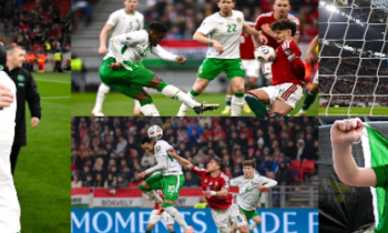 PICTURES: Relive the ecstasy as Troy Parrott secures Ireland's place in World Cup play-offs