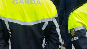 Gortuithe bagracha don bheatha ag bean i dtimpiste idir carr agus capall ar bhóthar gnóthach an Chláir