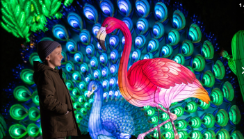 'An téama is iontaí go dtí seo' fógartha do Wild Lights Zú Bhaile Átha Cliath agus dáta fillte fógartha