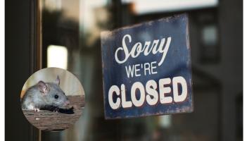 'Francaigh agus eiscréid marbha' - Ordaíodh d'aon ghnó bia déag ar fud na hÉireann dúnadh an mhí seo caite