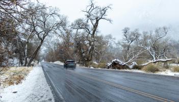 Rabhadh tugtha do thiom&aacute;naithe &Eacute;ireannacha: d&rsquo;fh&eacute;adfadh f&iacute;ne&aacute;lacha &euro;160 a bheith i gceist le bot&uacute;in choitianta sa gheimhreadh