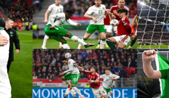 PICTURES: Relive the ecstasy as Troy Parrott secures Ireland's place in World Cup play-offs