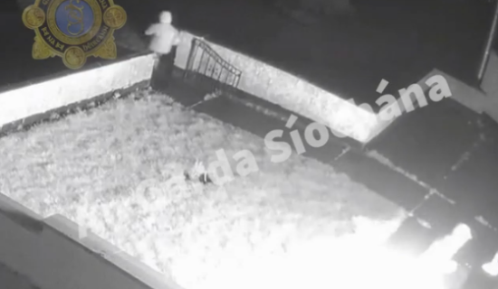 WATCH: Distressing video shows moment thugs burned house in fatal Edenderry arson attack