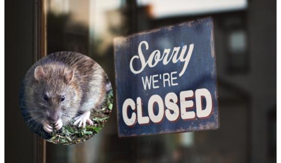 'Gan leithsc&eacute;al' - Fuarthas ionfhabhtuithe francach agus ceithre ghn&oacute; bia d&uacute;nta i m&iacute; Ean&aacute;ir