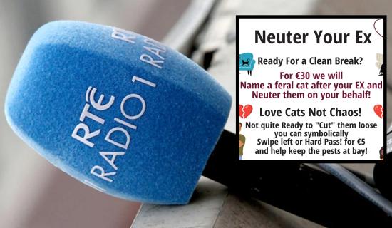 &Eacute;isteoir&iacute; RT&Eacute; Liveline tr&iacute;na ch&eacute;ile faoin gcleas carthanachta 'Neuter Your Ex' ar L&aacute; Vailint&iacute;n