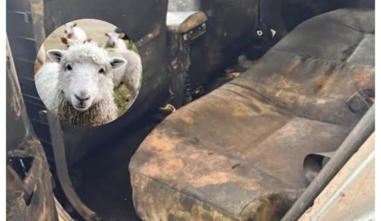 'Chic feirme' - Ghlac t&aacute;st&aacute;laithe NCT gn&iacute;omh m&oacute;r nuair a th&aacute;inig an carr seo le haghaidh t&aacute;st&aacute;la