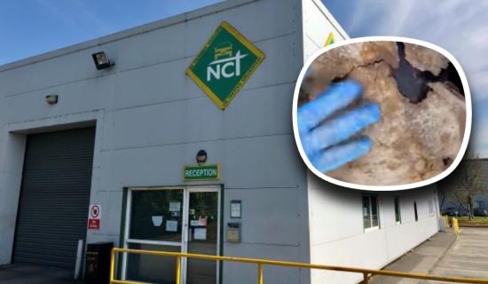 Fol&aacute;ireamh g&eacute;ar eisithe ag an NCT tar &eacute;is fionnachtain scannalach ar &lsquo;d&iacute;on gr&eacute;ine sa bhunchorp&rsquo; ar charr &Eacute;ireannach