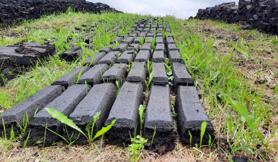 Iarratais ar ghn&iacute;omha&iacute;ocht thapa chun stop a chur le baint m&oacute;na m&iacute;dhleathach ar sc&aacute;la m&oacute;r