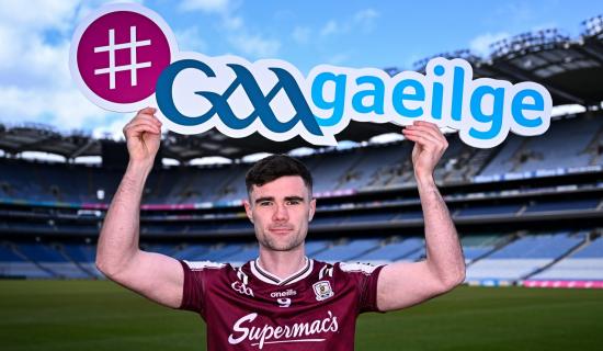 Peilead&oacute;ir na Gaillimhe, Se&aacute;n &Oacute; Maoilchiar&aacute;in, ceaptha ina Ambasad&oacute;ir Gaeilge CLG do 2026