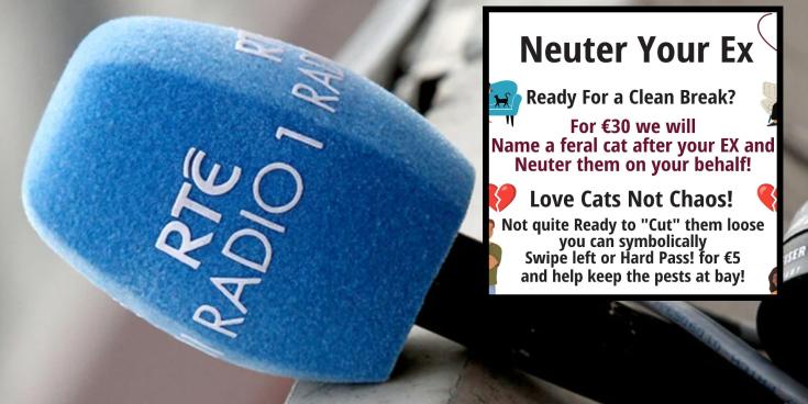 &Eacute;isteoir&iacute; RT&Eacute; Liveline tr&iacute;na ch&eacute;ile faoin gcleas carthanachta 'Neuter Your Ex' ar L&aacute; Vailint&iacute;n