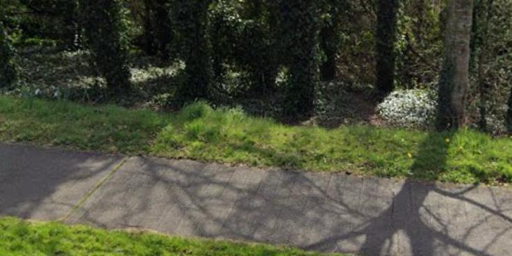 Garda&iacute; ag cuardach fear scanr&uacute;il a rinne gn&iacute;omh gn&eacute;is poibl&iacute; ag l&aacute;thair si&uacute;l&oacute;ide coitianta in &Eacute;irinn