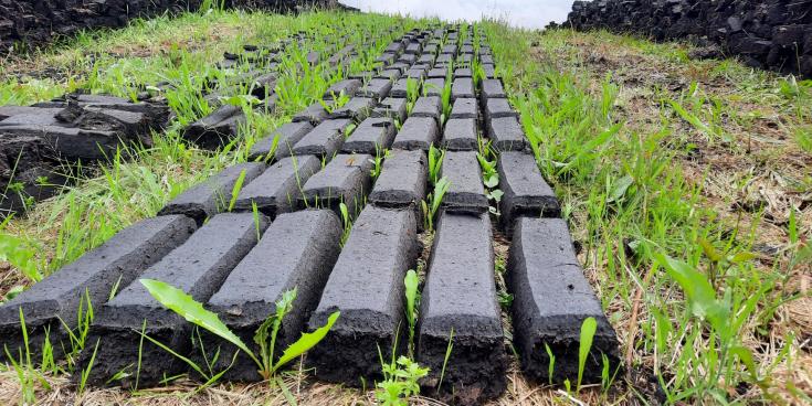 Iarratais ar ghn&iacute;omha&iacute;ocht thapa chun stop a chur le baint m&oacute;na m&iacute;dhleathach ar sc&aacute;la m&oacute;r