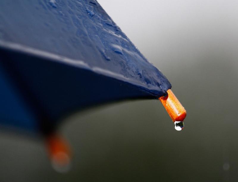 WEATHER: Drizzle expected today (Feb 1) with highest temperatures of 10 degrees