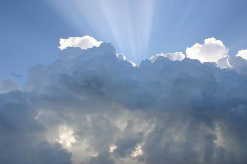 Carlow weather - Monday, June 19