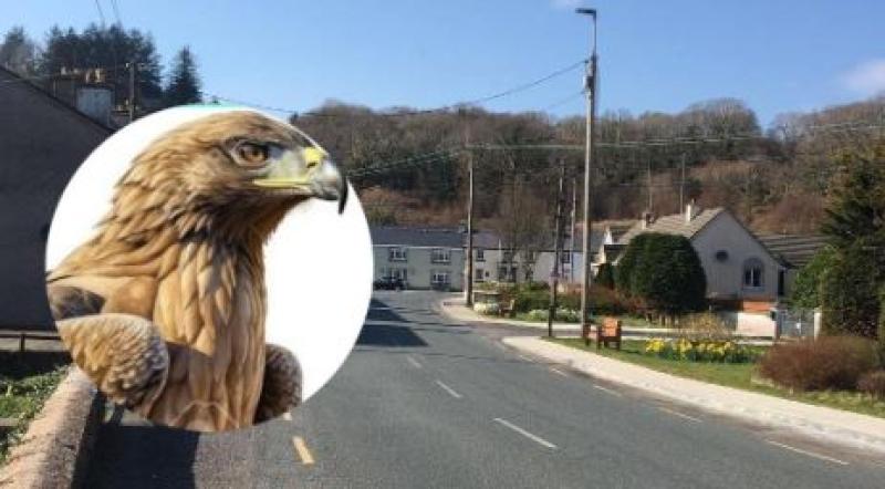 Dealbh d’Iolar Órga a nochtú sna Dúchoraibh i mí Mhárta