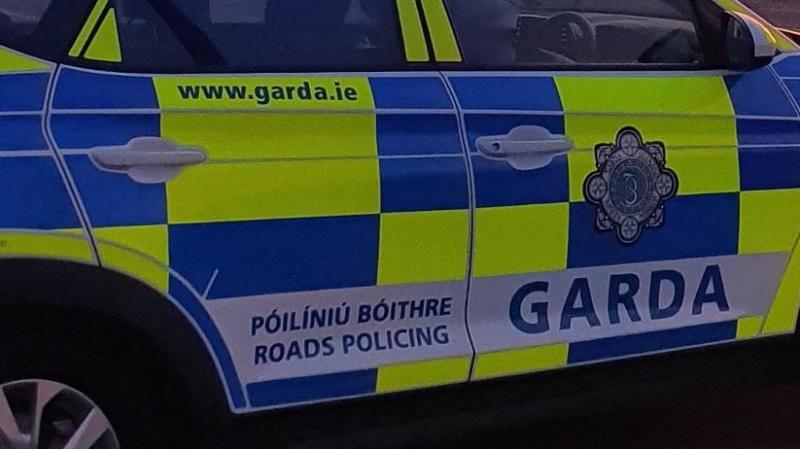 ‘Ná téigh i dtreo’ – tugann Gardaí rabhadh don phobal faoi veain Renault