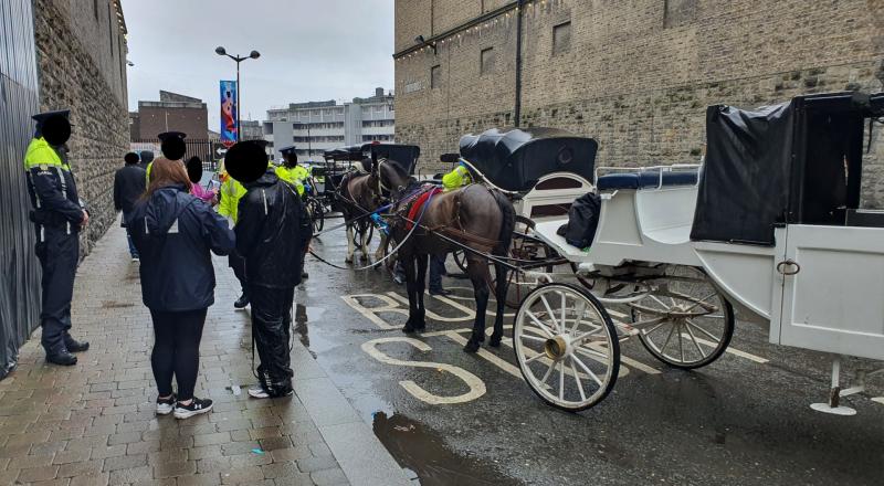 Gabhann Gardaí beirt thiománaí cairt chapaill as 'tiomáint ar meisce'