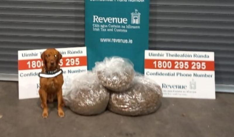 Pacáistí cannabais aimsithe ag madra cuardaigh, James