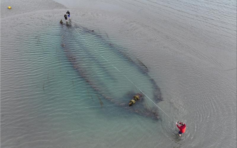 Nochtann Sand Sands trí longbhriseadh stairiúla nua do ghrianghrafadóir áitiúil amach ó chósta na hÉireann