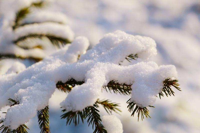 FÓGRA: Tugann Met Éireann rabhadh faoi ‘chnuasuithe suntasacha sneachta’ i gCÚIG chontae